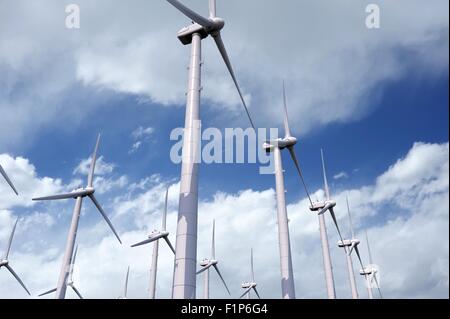 L'énergie éolienne Les éoliennes - Plantation sur bleu ciel nuageux. Thème de l'énergie verte - Illustration / 3D Render Banque D'Images