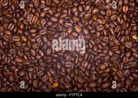 Arrière-plan de grains de café. Des grains de café frais. Plantation de café. Banque D'Images