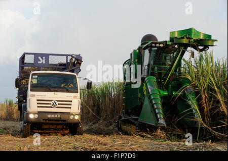 L'ANGOLA , Pòlo Malange PAC Agroindustrial de Capanda, Anchalifinanz Projet, entreprise conjointe du Brésil et de l'état société Angolian Odebrecht Sonangol, la compagnie pétrolière, la canne à sucre la récolte et la moissonneuse-batteuse John Deere Harvester , la canne à sucre est traitée dans une usine de sucre propre à produire du sucre ou le bioéthanol comme carburant Banque D'Images