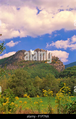 Seneca Rocks, l'épinette Knob-Seneca Rocks National Recreation Area, Seneca Rocks, West Virginia, USA Banque D'Images
