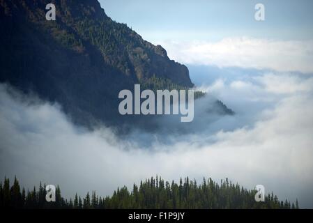 Montagnes Olympiques nuageux - Olympic National Park, Washington, USA. Banque D'Images