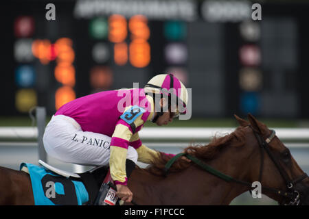 Le cheval et le cavalier en course à Gulfstream Park, Floride Banque D'Images