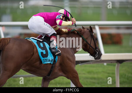 Le cheval et le cavalier en course à Gulfstream Park, Floride Banque D'Images