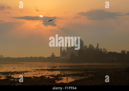 Un lever du soleil sur le Taj Mahal à Agra, Inde. Banque D'Images