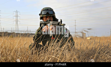 Avec Zodiac Marine, Bataillon d'infanterie de marine mexicaine au cours de la formation des forces de débarquement amphibie de la partie d'exercice Dawn Blitz au Marine Corps Base Camp Pendleton, le 5 septembre 2015 à San Deigo, en Californie. L'exercice : le Japon, le Mexique et la Nouvelle-Zélande pour renforcer les opérations interarmées, les opérations amphibies. Banque D'Images