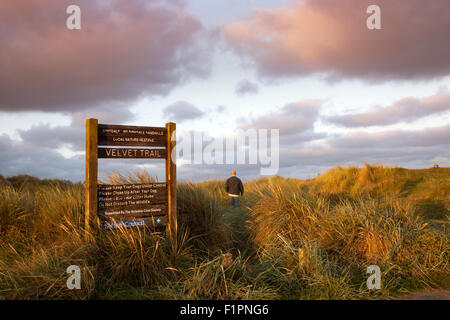 Southport, Merseyside, UK 6 Septembre, 2015. Météo britannique. Breezy mais ensoleillé pour la journée. L & d'Ainsdale Sandhills Birkdale réserve naturelle locale de l'habitat faunique, comprend les superbes collines d'Ainsdale Birkdale, collines, Lac des Sables bitumineux, parements de velours, Trail et Birkdale Beach. Cette réserve naturelle locale est l'un des plus grands domaines de dunes sauvages (268 hectares) à gauche en Grande-Bretagne et est géré par la côte et la campagne de Sefton Service. Banque D'Images