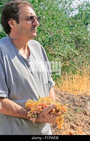 Homme avec une grappe de raisin dans les mains Banque D'Images