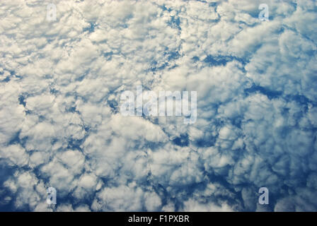 Les cumulus. Ciel bleu avec des nuages. Banque D'Images