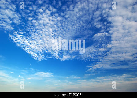 Les cumulus. Ciel bleu avec des nuages. Banque D'Images