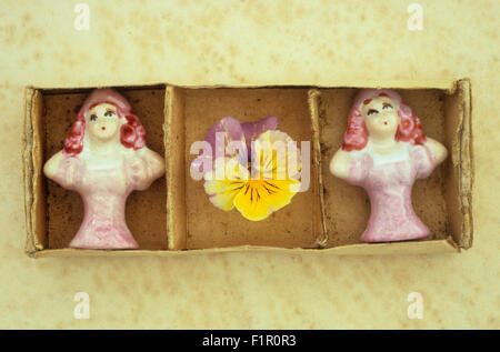 Deux poupées identiques de demi-axe-coussins en rose corsages dans boîte à cartes avec pansy et lilas jaune Banque D'Images