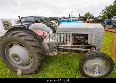 Un tracteur Ferguson TE20 à l'Beckbury Shropshire uk Show 2015 Banque D'Images