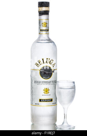 Perm, Russie - le 23 mai 2014 : bouteille de vodka beluga dépoli dans studio setup. Vodka Beluga est produit près de Kemerovo, en Russie. Banque D'Images