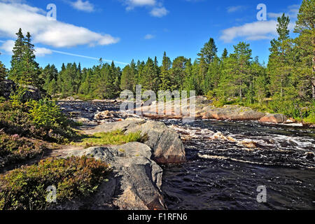 Morskoj Pongoma seuil sur la rivière. Le nord de la Carélie, Russie Banque D'Images