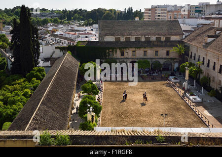 Vue sur les écuries royales du spectacle équestre cheval andalou permanent cordoue espagne Banque D'Images