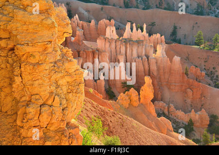 Vue du jardin de boucle Navajo Trail ci-dessous Sunset Point dans le Parc National de Bryce Canyon dans le sud-ouest de l'Utah Banque D'Images