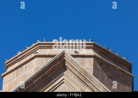 Un groupe de pigeons dans la ville reposant sur un clocher de l'église face au soleil sur un ciel bleu clair jour. Banque D'Images