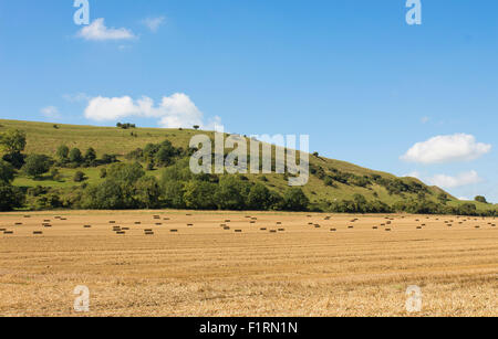 Hambledon Fort âge de fer de l'époque néolithique Banque D'Images