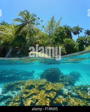 Deux images ci-dessus et ci-dessous de la surface de l'eau avec une petite île verte rive et une barrière de corail sous l'eau, mer des Caraïbes Banque D'Images