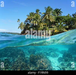 L'île tropicale et les coraux sous l'eau divisée par flottaison, mer des Caraïbes Banque D'Images