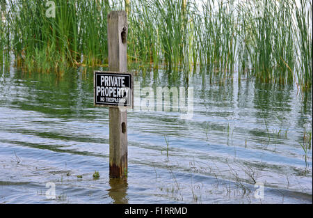 Inscrivez-vous sur propriété privée en bois dans les zones humides. Banque D'Images