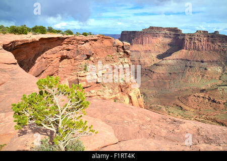 Donnant sur Shafer Canyon et la Shafer Trail de la région du cou, de l'île dans le ciel en District Canyonlands National Park Banque D'Images