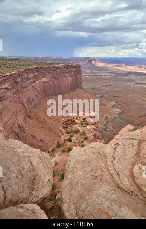 Avis de Buck Canyon Overlook dans Île de la Sky District de Canyonlands National Park dans l'Est de l'Utah Banque D'Images