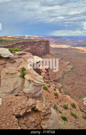 Avis de Buck Canyon Overlook dans Île de la Sky District de Canyonlands National Park dans l'Est de l'Utah Banque D'Images