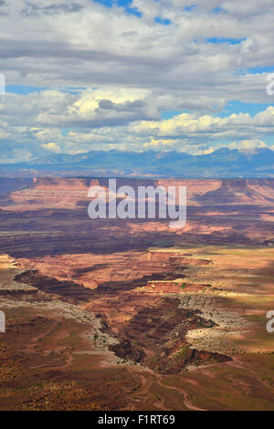 Avis de Buck Canyon Overlook dans Île de la Sky District de Canyonlands National Park dans l'Est de l'Utah Banque D'Images