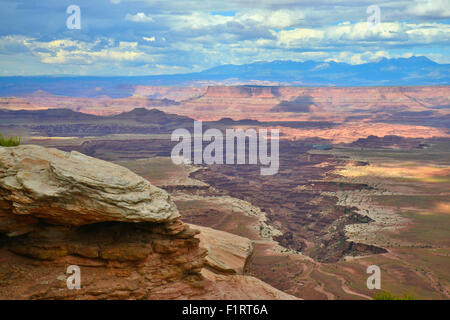 Avis de Buck Canyon Overlook dans Île de la Sky District de Canyonlands National Park dans l'Est de l'Utah Banque D'Images