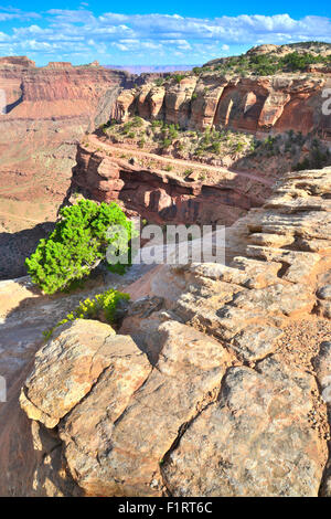 Donnant sur Shafer Canyon et la Shafer Trail de la région du cou, de l'île dans le ciel en District Canyonlands National Park Banque D'Images