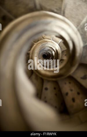 Bel escalier en spirale Banque D'Images