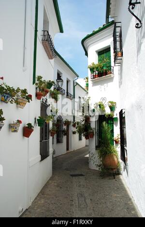 Rue étroite avec de jolies fleurs en pot sur le mur de la maison dans le Barrio la Villa district, Priego de Cordoba, Espagne. Banque D'Images