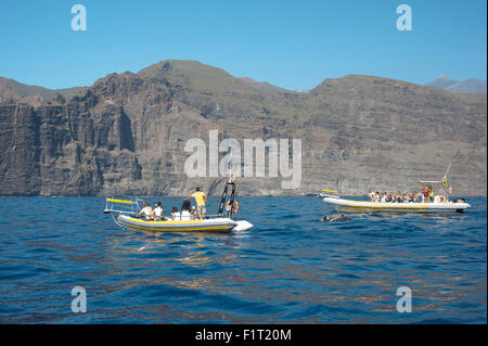 Des dauphins au large de la côte de Tenerife, Espagne avec les touristes en bateaux sur la mer Banque D'Images