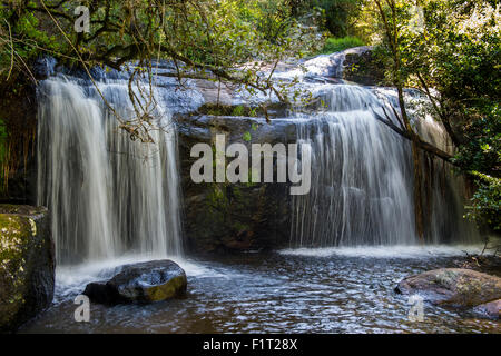 Williams tombe sur le plateau de Zomba, Malawi, Afrique Banque D'Images