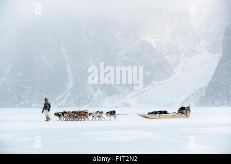 Chasseur inuit promenait son chien équipe sur la glace de mer dans une tempête de neige, le Groenland, le Danemark, les régions polaires Banque D'Images