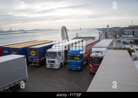 Camions sur Stena Lines Ferry, Port de Rotterdam, crochet de Hollande, Pays-Bas Banque D'Images