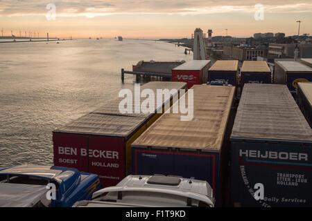 Camions sur Stena Lines Ferry, Port de Rotterdam, crochet de Hollande, Pays-Bas Banque D'Images