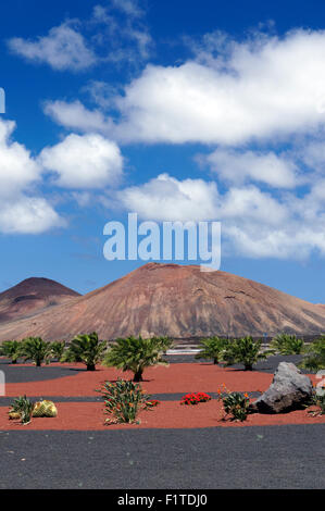 Rond-point sur LZ72 road, Yaiza avec les volcans du Parc National de Timanfaya dans la distance, Lanzarote, Espagne. Banque D'Images