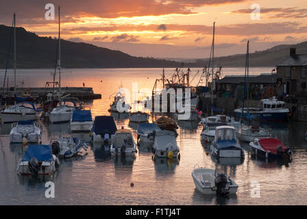 L'aube au port de Cobb à Lyme Regis sur la côte jurassique du Dorset, Angleterre, Royaume-Uni. Banque D'Images