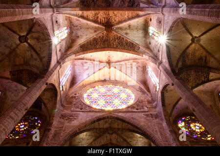 Cathédrale de Palma de Mallorca Banque D'Images