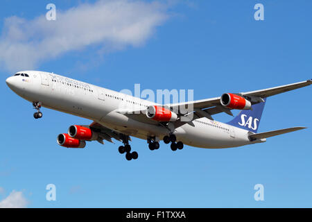 , SAS Scandinavian Airlines A340-300, vol, SK936, OY-KBD, en approche finale à l'aéroport de Copenhague, CPH, Danemark du SF, USA Banque D'Images