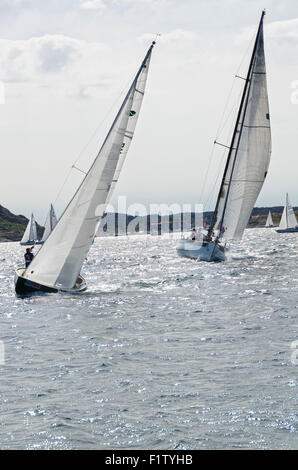 Une compétition de voile sur de nombreux westcoast suédoise bateau cette belle journée Banque D'Images