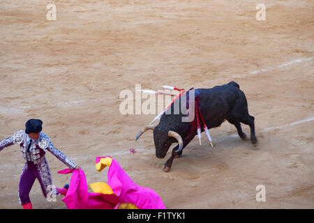 Barcelone, Espagne - 01 août 2010 : le recul torero (torero) au cours d'une corrida dans La scène monumentale, août 2010 en Banque D'Images