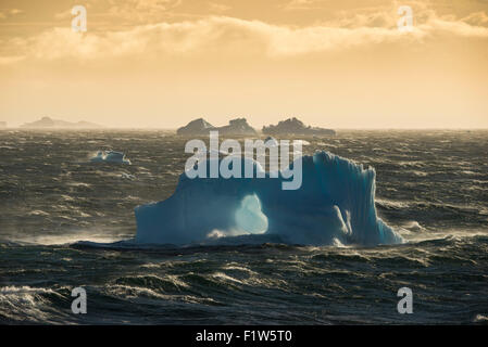 Un iceberg bleu au début de lumière du matin au cours d'un événement de vent fort dans l'antarctique Banque D'Images