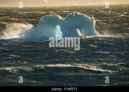 Un iceberg bleu au début de lumière du matin au cours d'un événement de vent fort dans l'antarctique Banque D'Images