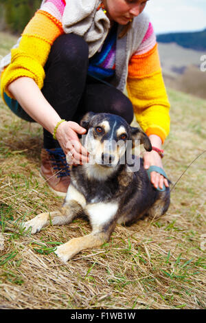 Woman brushing son chien dans les prés au printemps. Banque D'Images