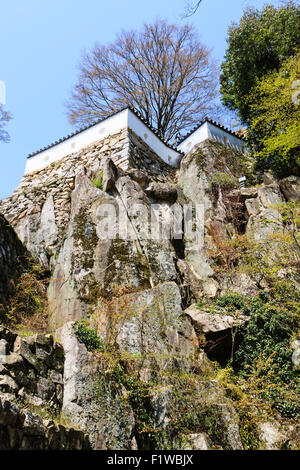 Le Japon, Bitchu Takahashi, Matsuyama Castle. Murs en pierre, Ishigaki, de l'Otemon ruiné Gate, avec le Sannomaru, Bailey et Umaya Bailey au-dessus. Banque D'Images