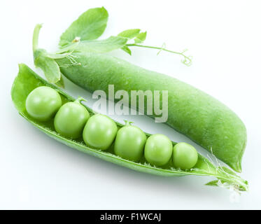 Ouvrir pea pod sur un fond blanc. Banque D'Images