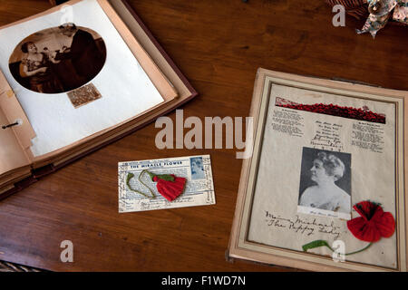 Souvenirs de belle femme Moina Michael qui a conçu le symbole rouge coquelicot du souvenir de la Première Guerre mondiale Banque D'Images