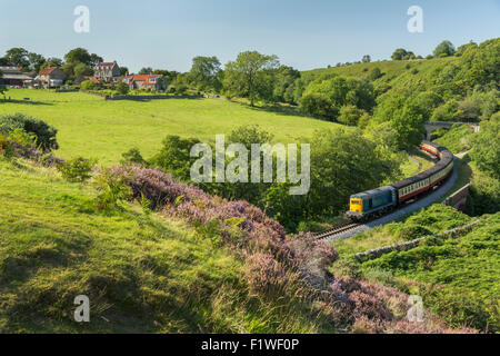 Un train diesel sur l'approche de Goathland North Yorkshire Moors Railway Heritage à vapeur. Banque D'Images